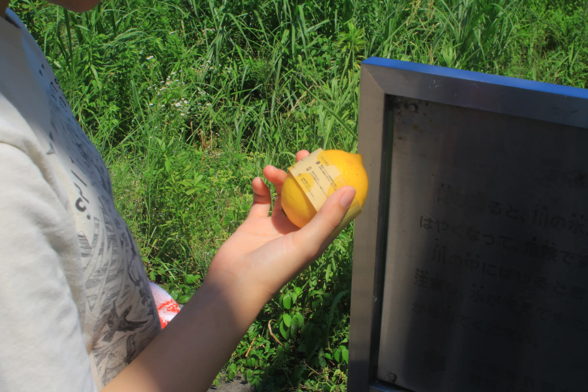 lemon-explosion_05